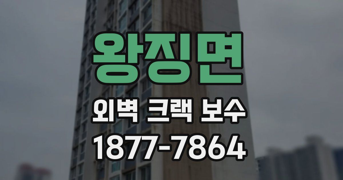 왕징면 외벽 크랙 보수