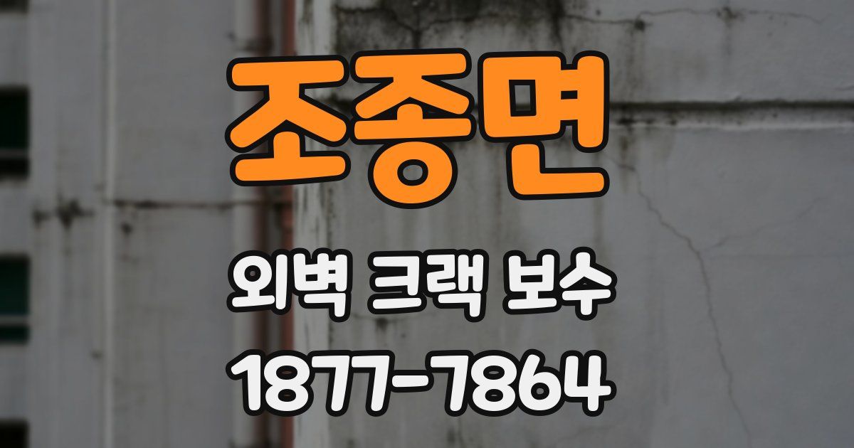 조종면 외벽 크랙 보수