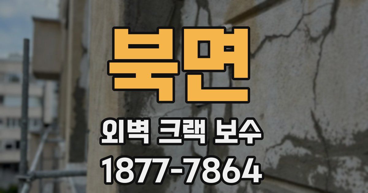 북면 외벽 크랙 보수