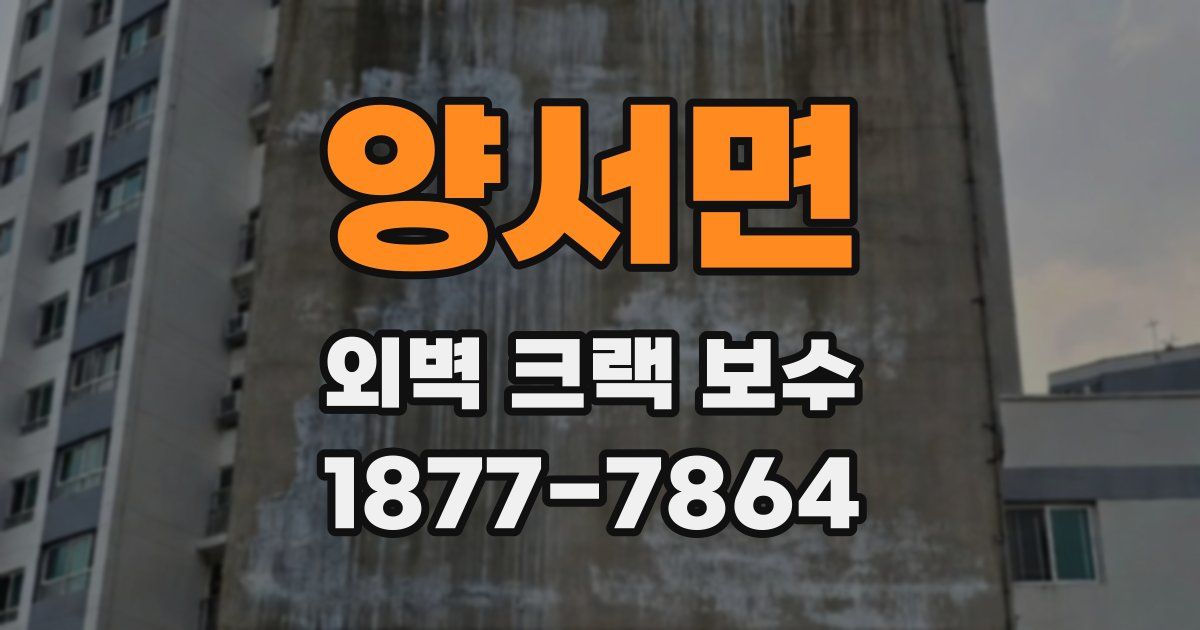 양서면 외벽 크랙 보수