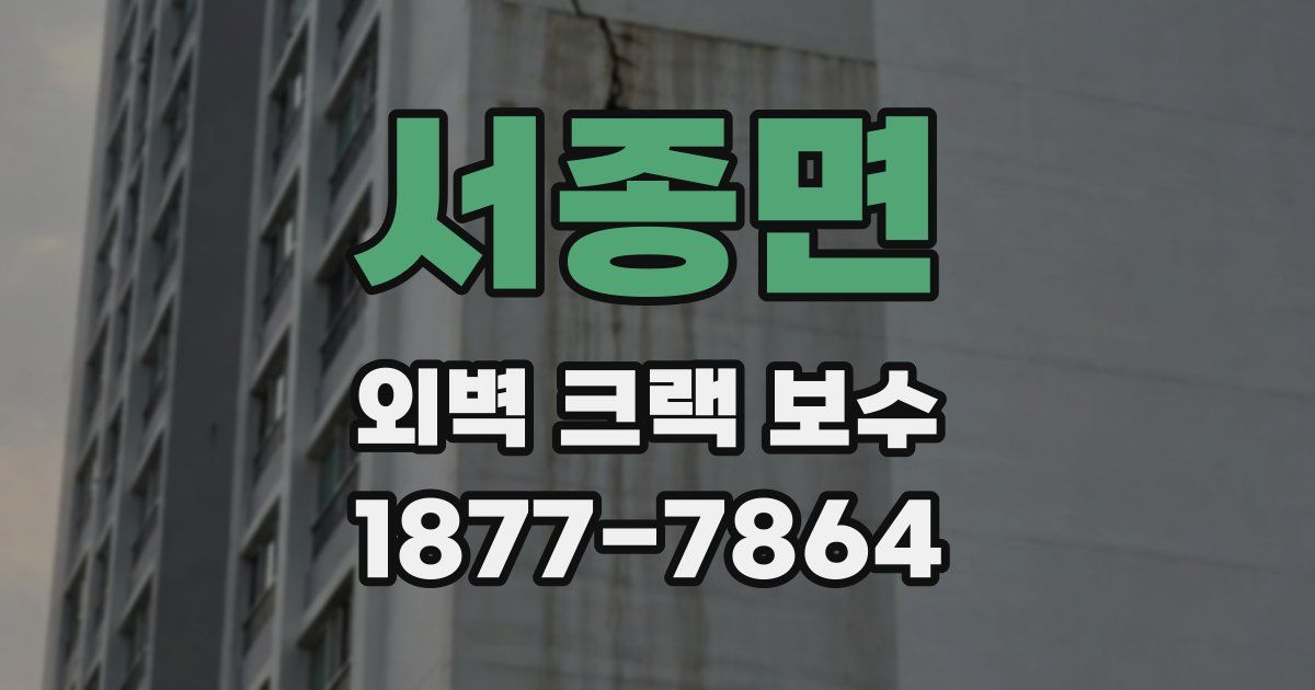 서종면 외벽 크랙 보수