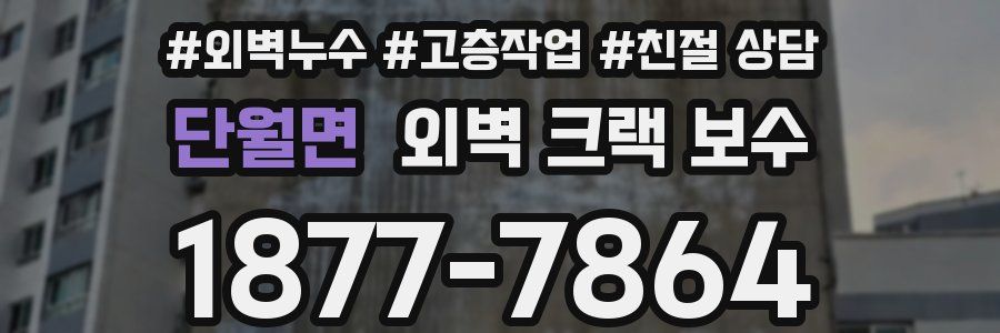 단월면 외벽 크랙 보수