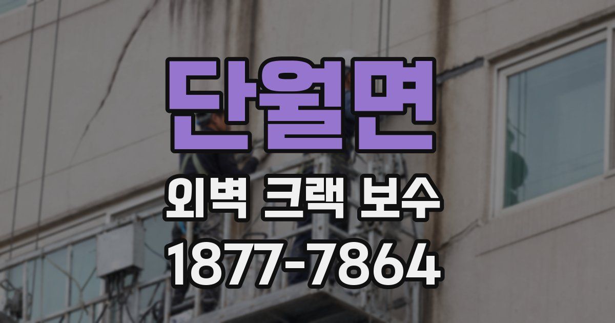 단월면 외벽 크랙 보수
