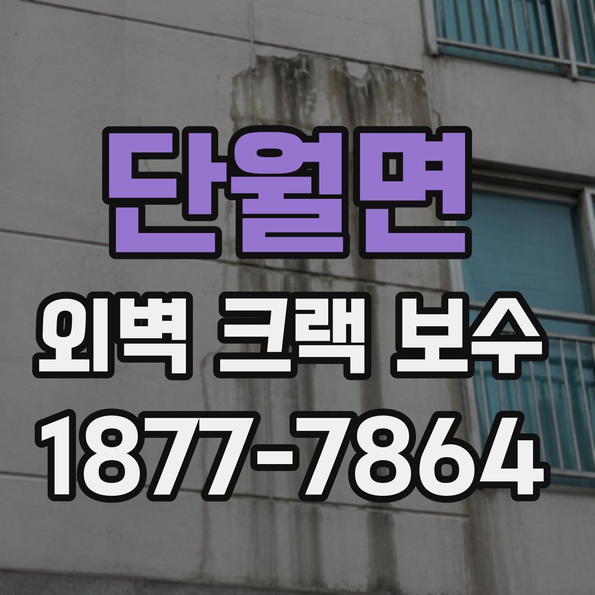 단월면 외벽 크랙 보수