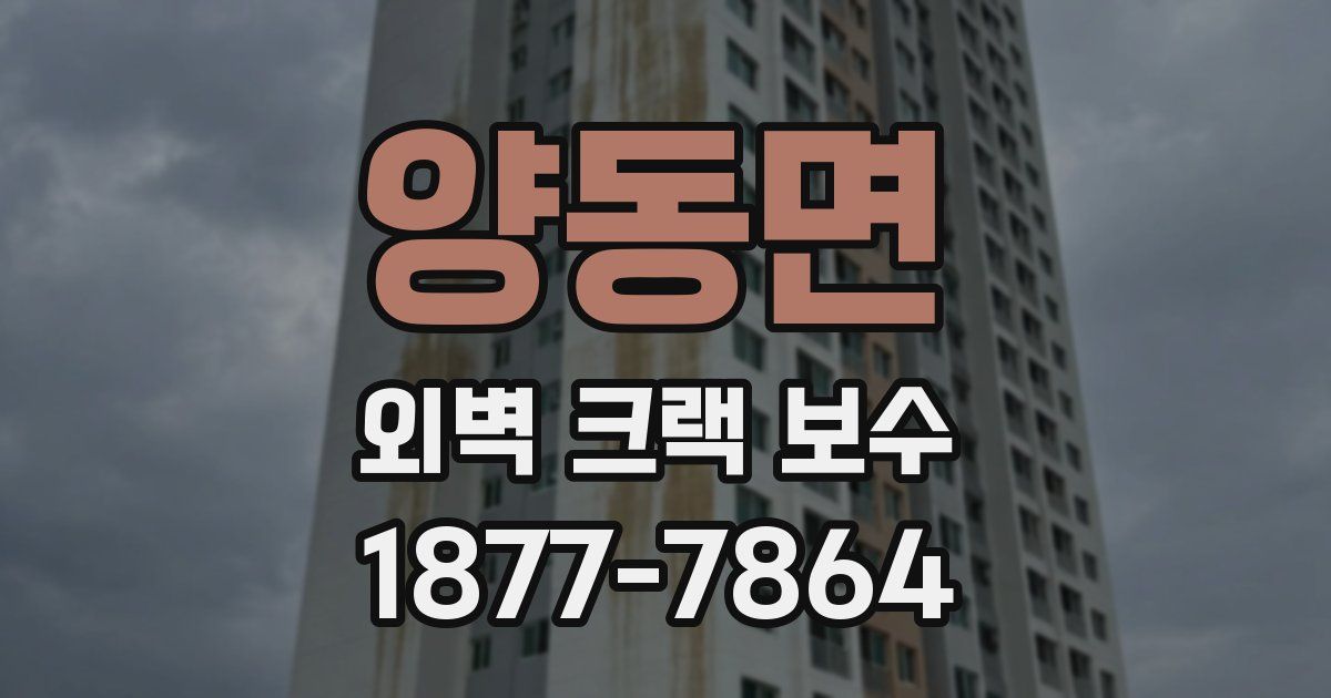 양동면 외벽 크랙 보수