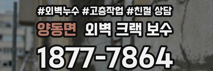 양동면 외벽 크랙 보수