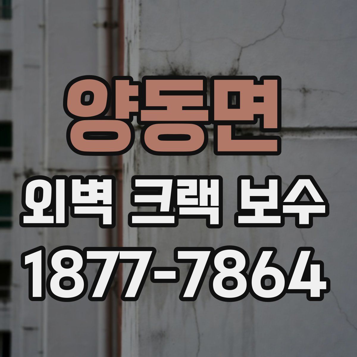 양동면 외벽 크랙 보수