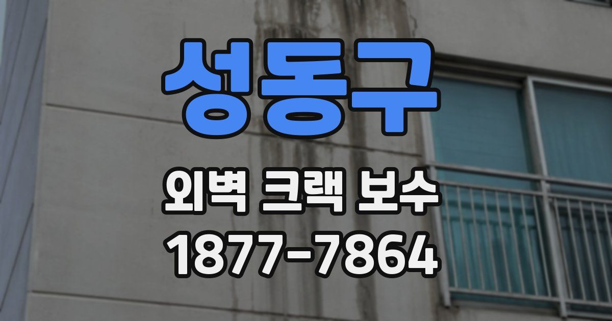 성동구 외벽 크랙 보수