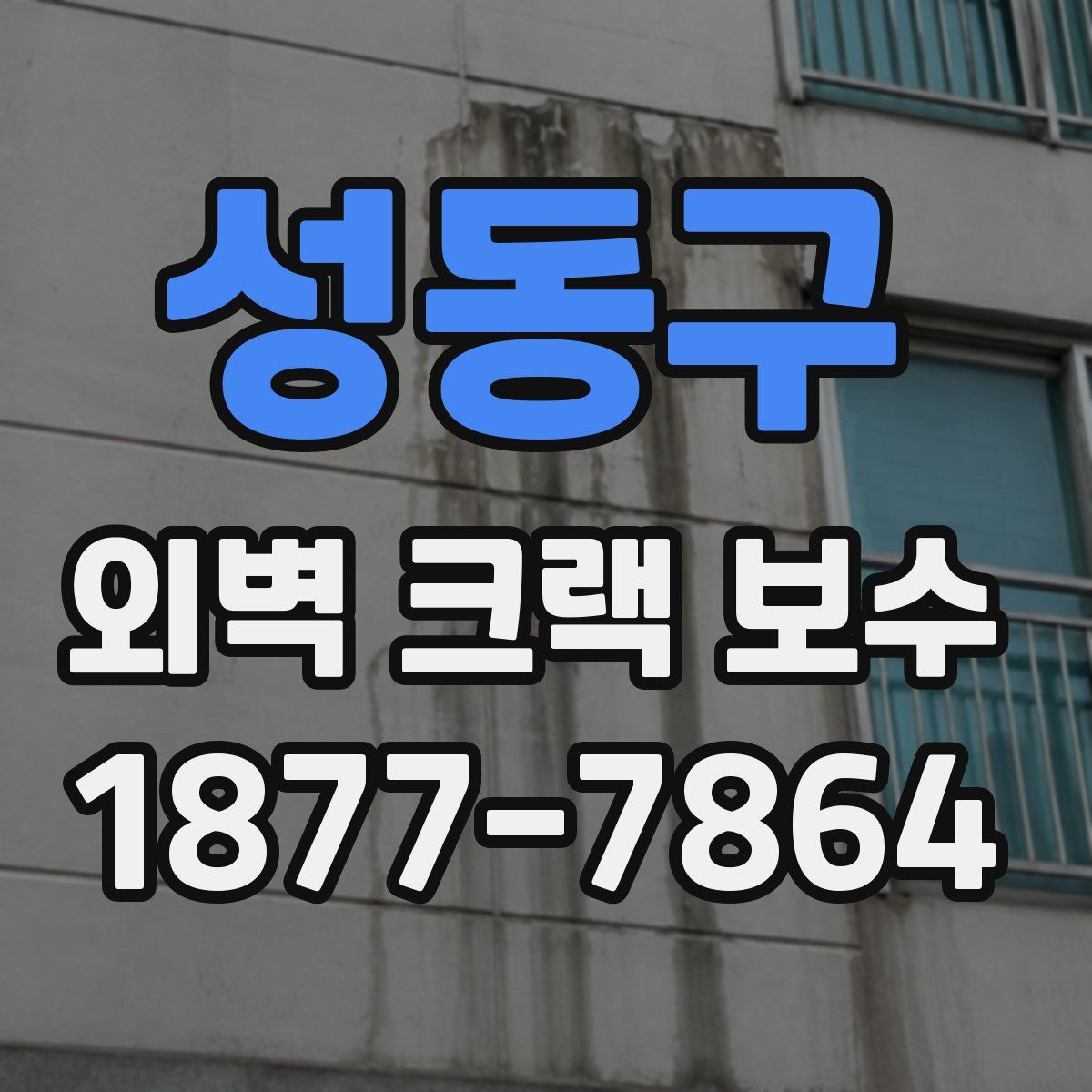 성동구 외벽 크랙 보수