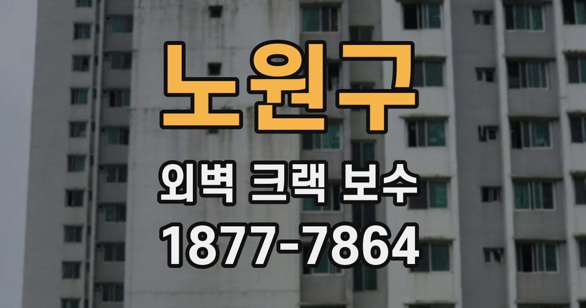 노원구 외벽 크랙 보수