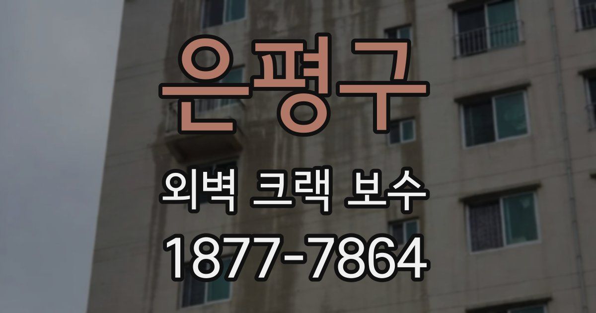 은평구 외벽 크랙 보수