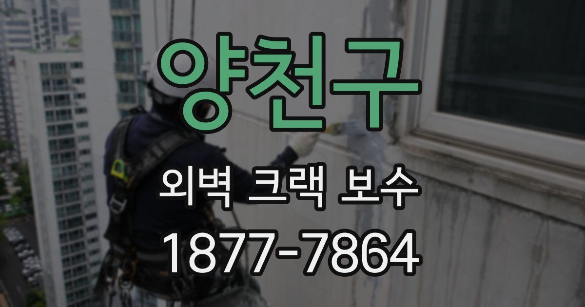 양천구 외벽 크랙 보수