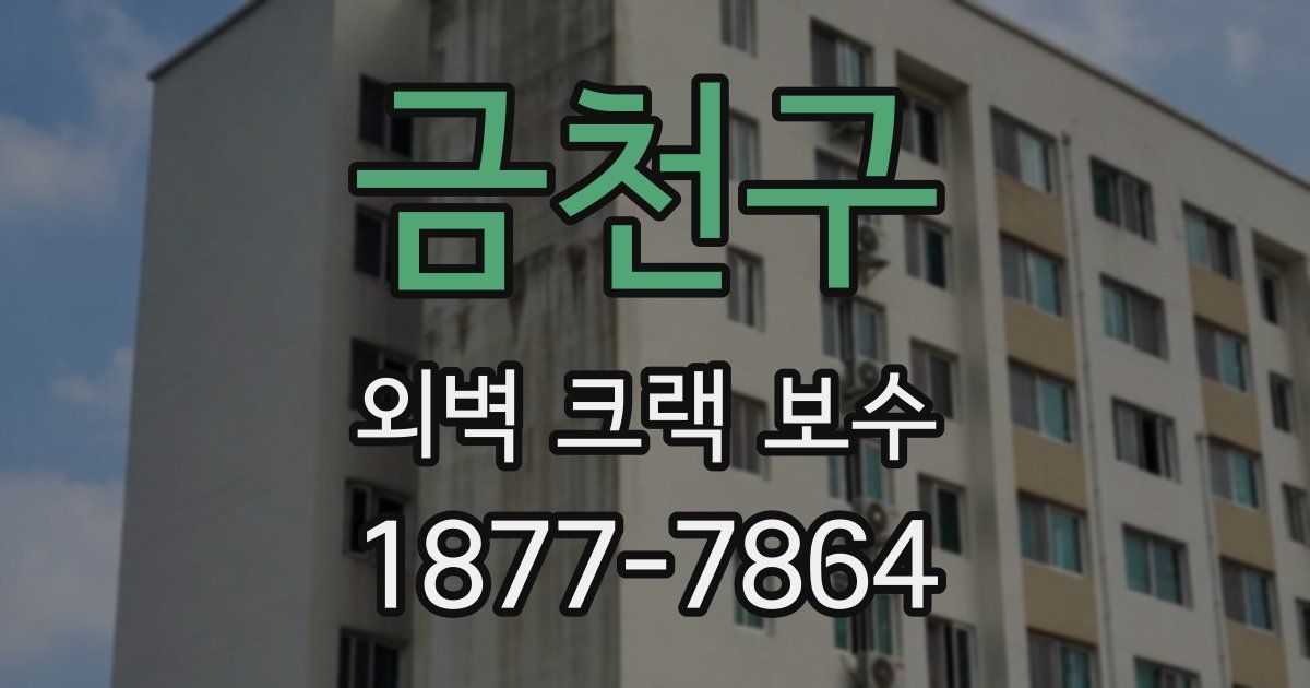 금천구 외벽 크랙 보수