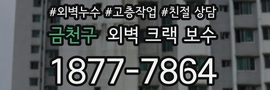 금천구 외벽 크랙 보수