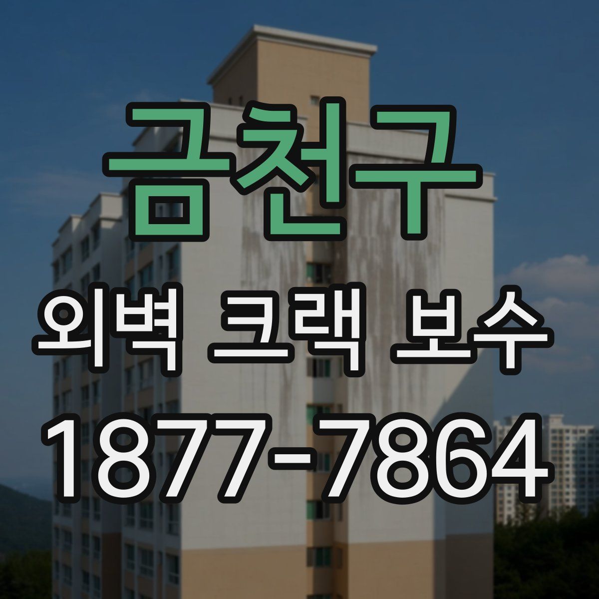 금천구 외벽 크랙 보수