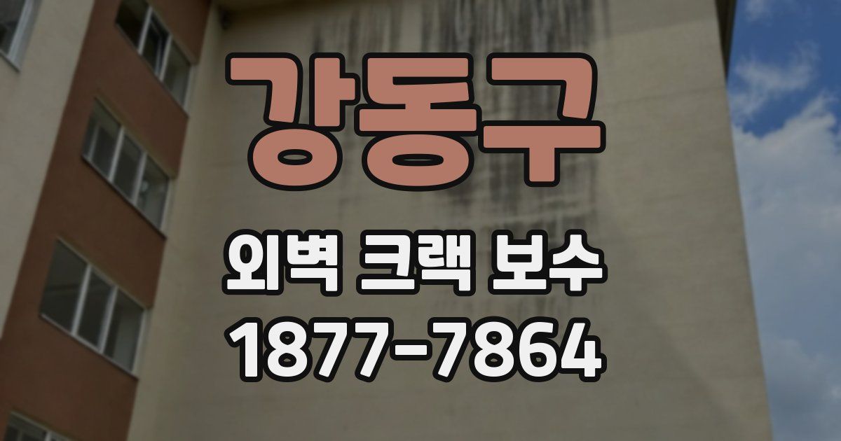 강동구 외벽 크랙 보수