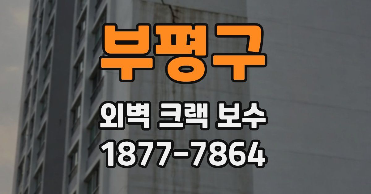 부평구 외벽 크랙 보수