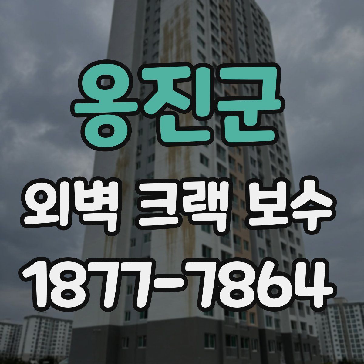 옹진군 외벽 크랙 보수