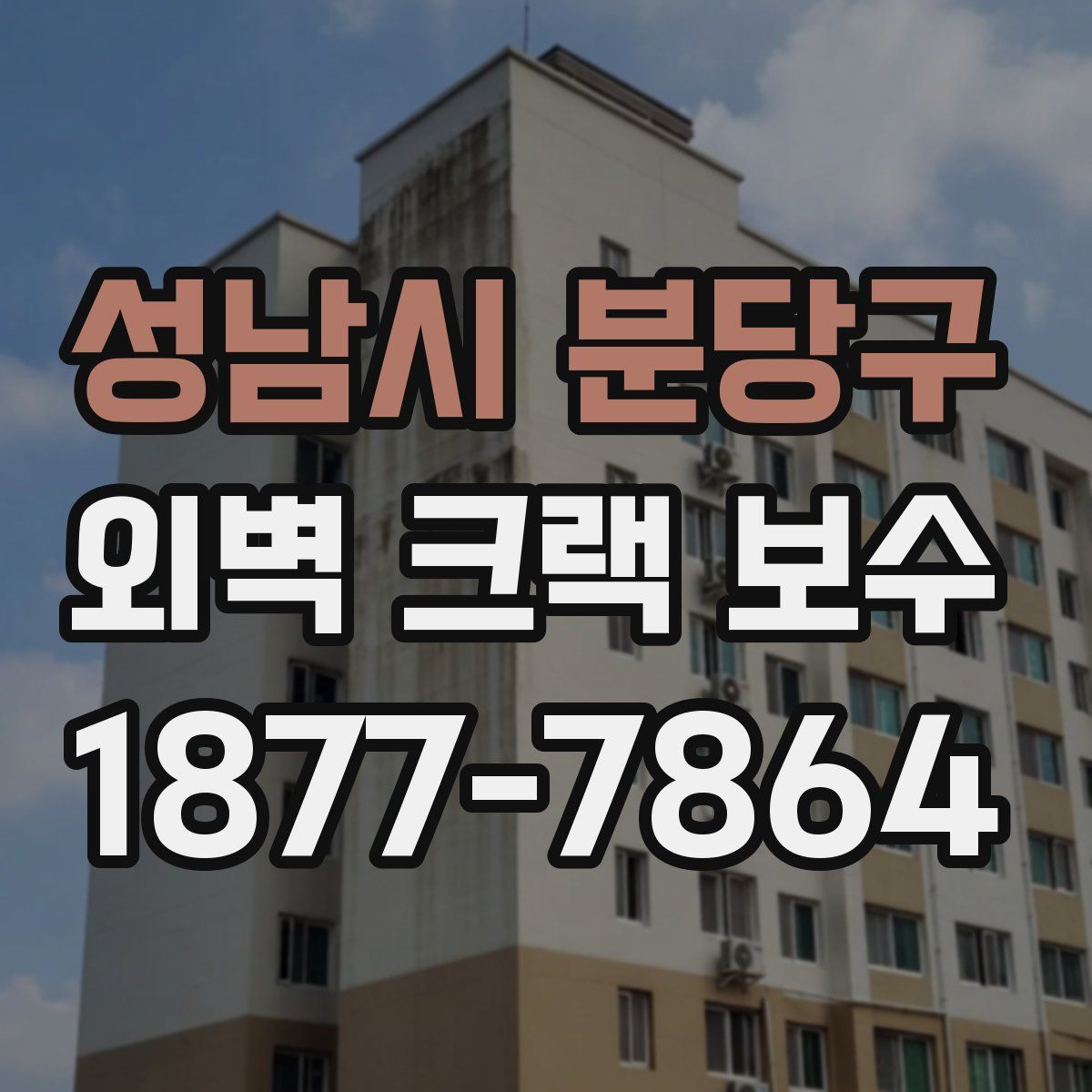 성남시 분당구 외벽 크랙 보수