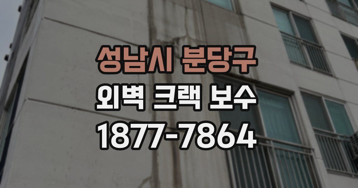 성남시 분당구 외벽 크랙 보수