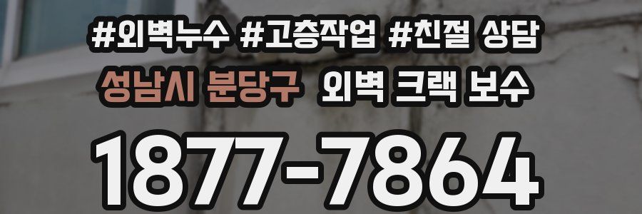 성남시 분당구 외벽 크랙 보수