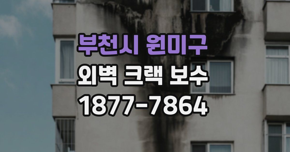부천시 원미구 외벽 크랙 보수