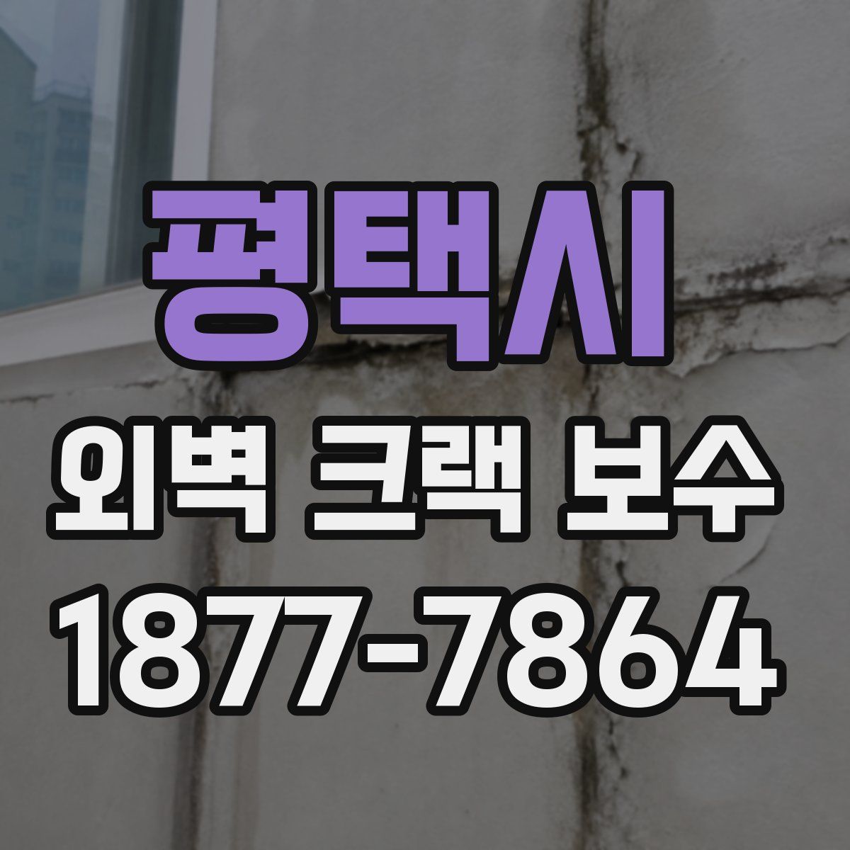 평택시 외벽 크랙 보수