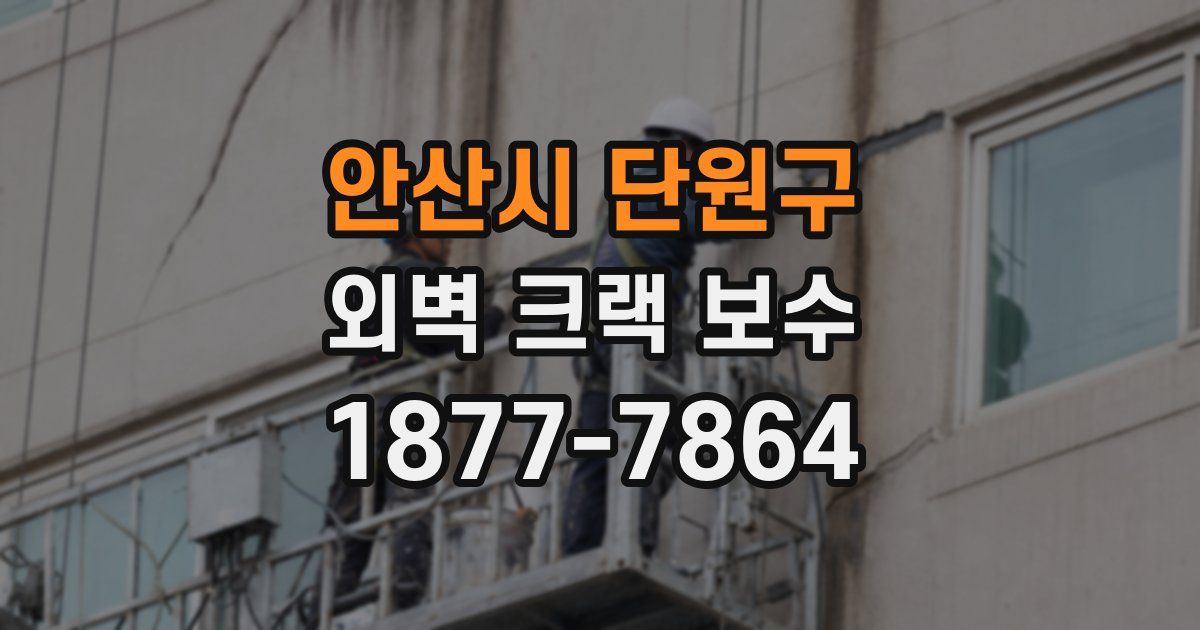 안산시 단원구 외벽 크랙 보수
