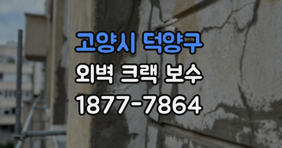고양시 덕양구 외벽 크랙 보수