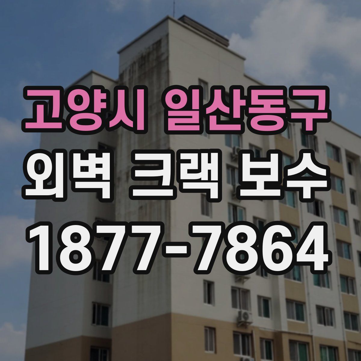 고양시 일산동구 외벽 크랙 보수