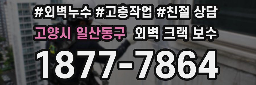 고양시 일산동구 외벽 크랙 보수