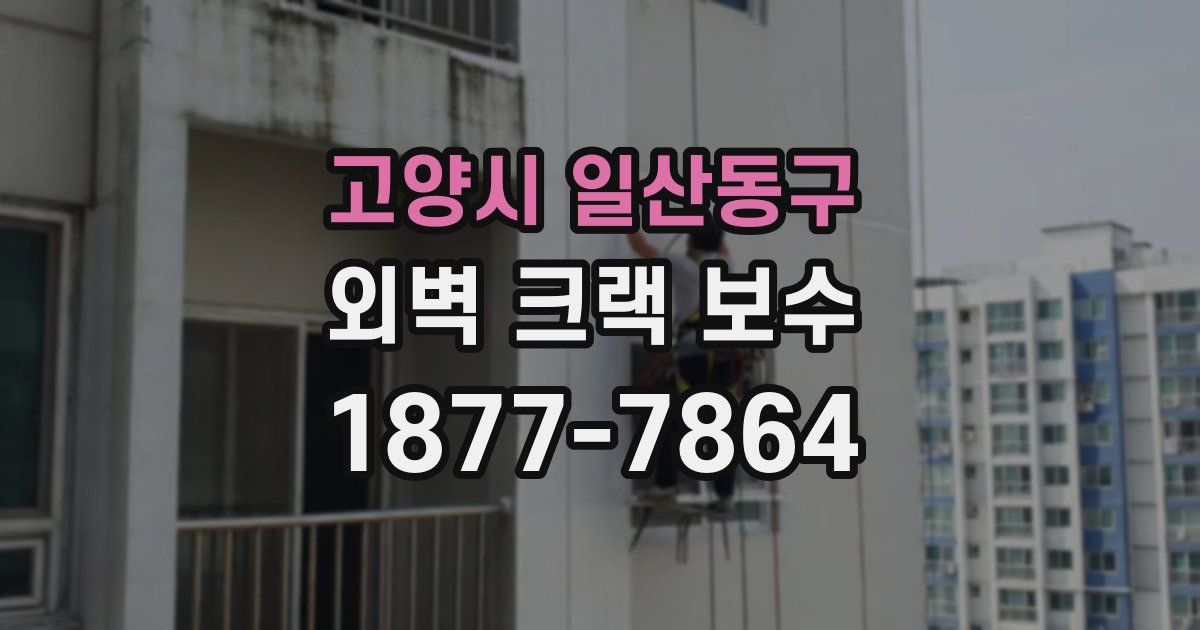 고양시 일산동구 외벽 크랙 보수