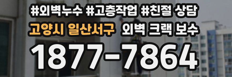 고양시 일산서구 외벽 크랙 보수