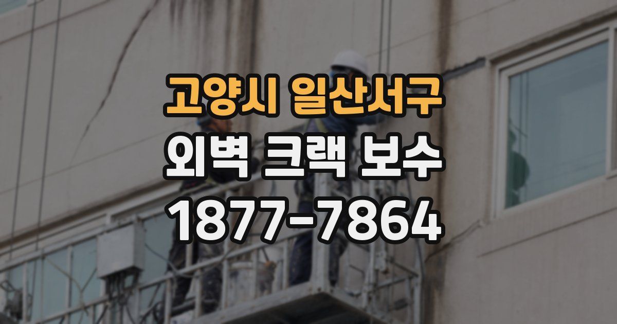 고양시 일산서구 외벽 크랙 보수