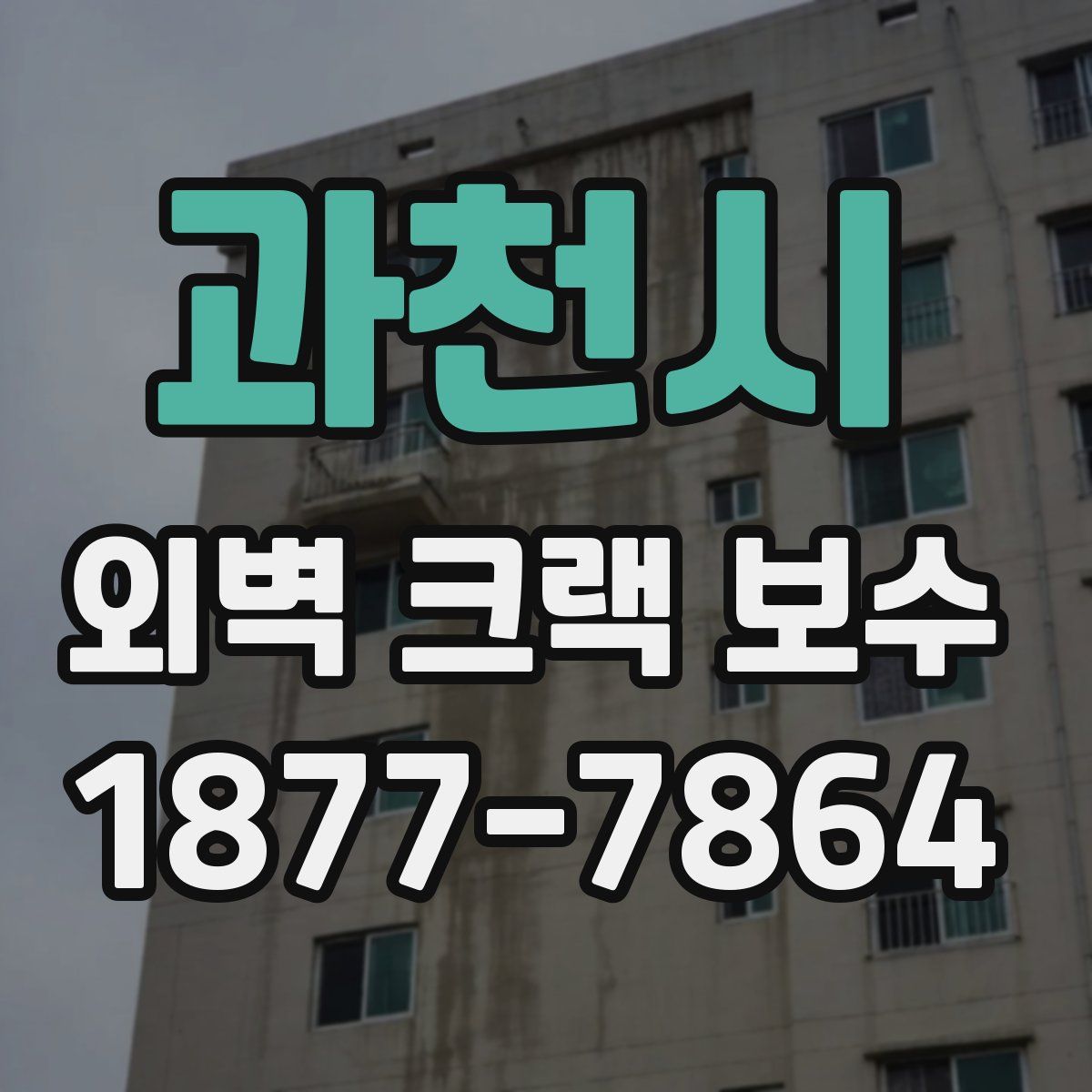 과천시 외벽 크랙 보수