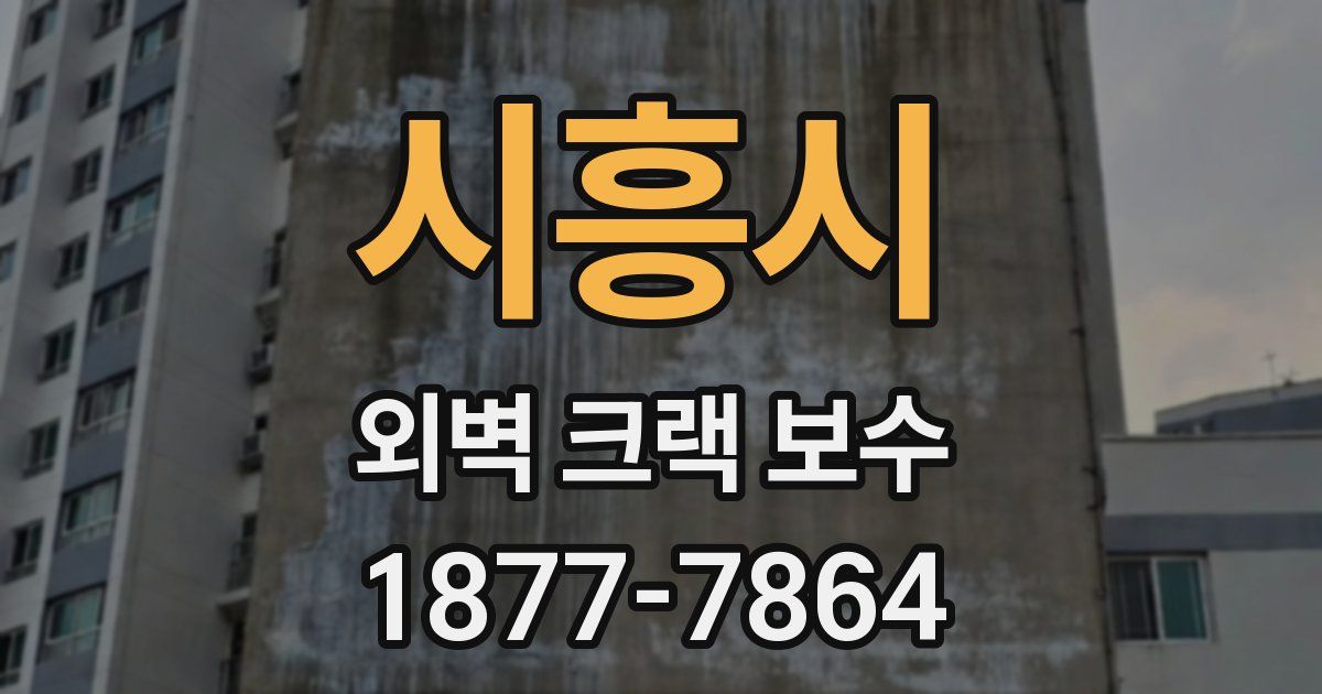 시흥시 외벽 크랙 보수