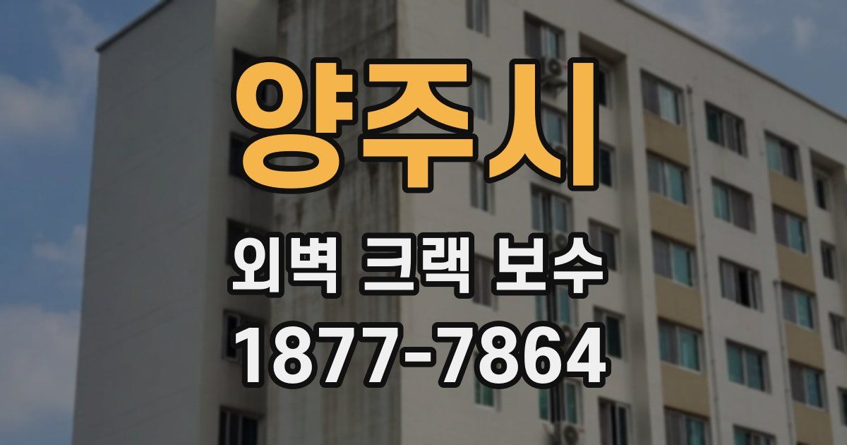 양주시 외벽 크랙 보수