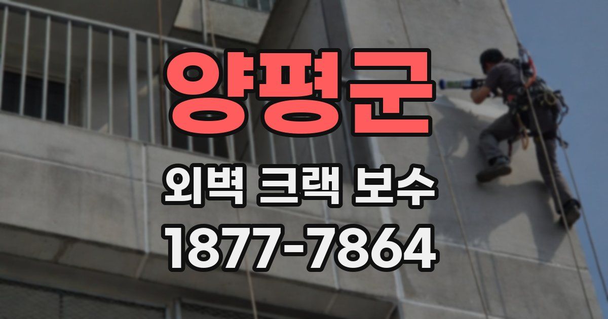 양평군 외벽 크랙 보수