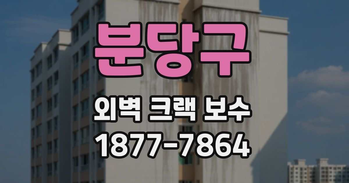 분당구 외벽 크랙 보수