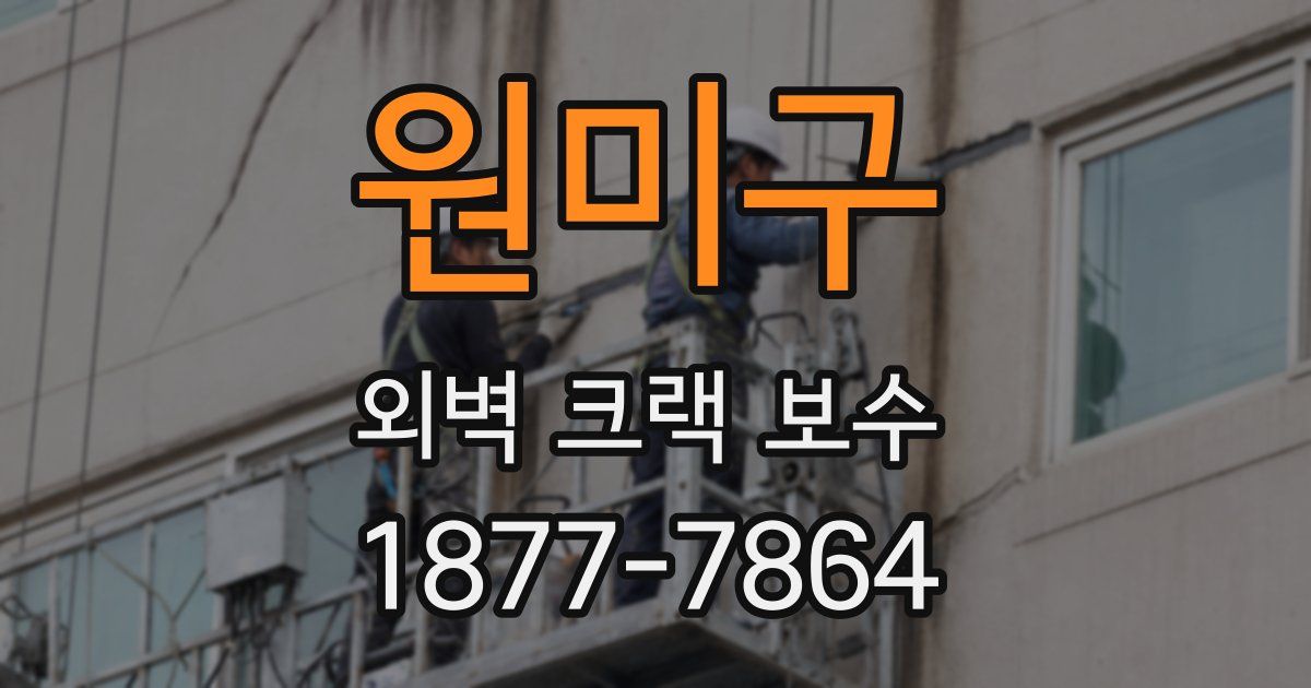 원미구 외벽 크랙 보수