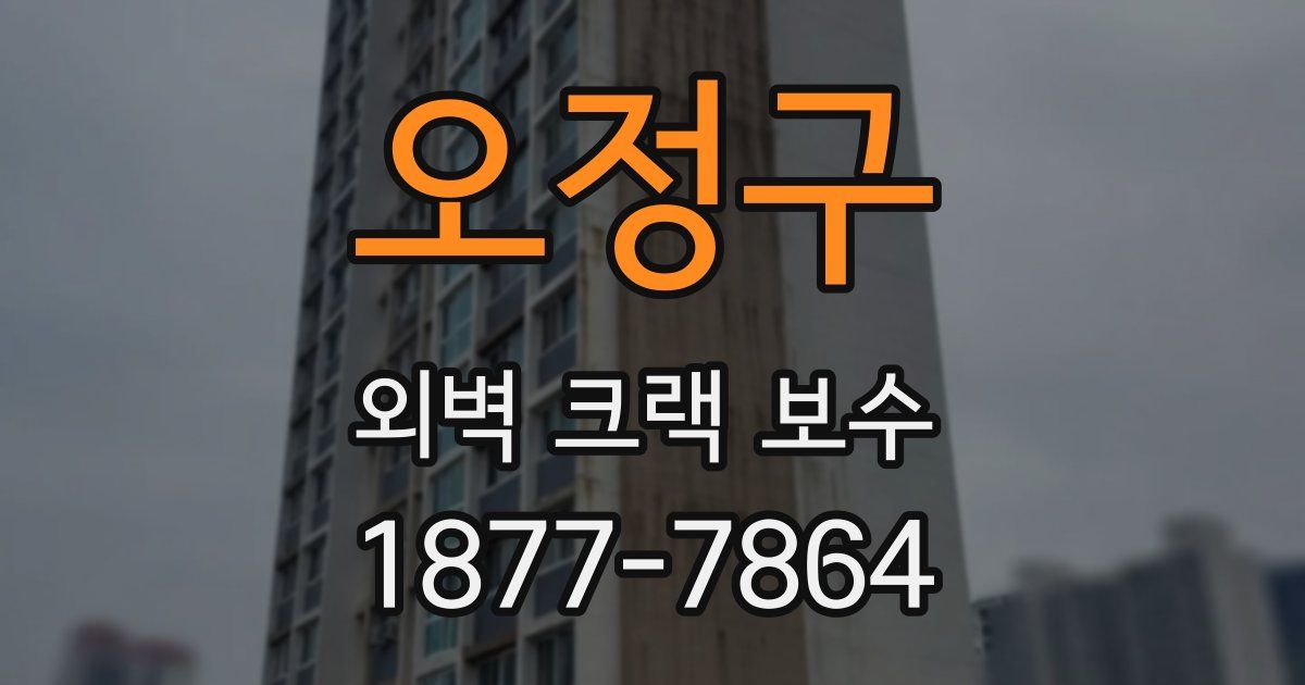 오정구 외벽 크랙 보수