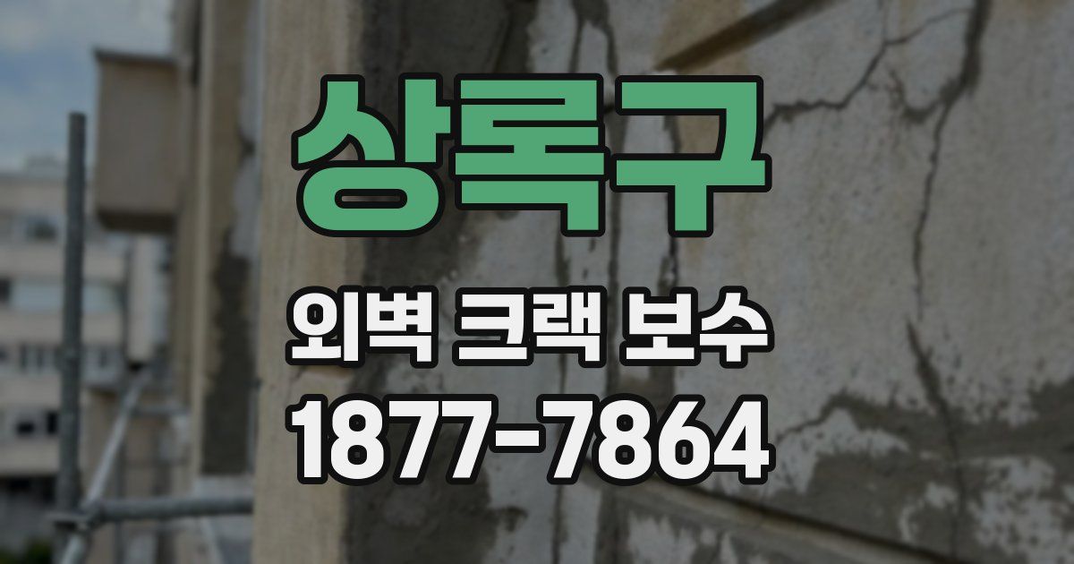 상록구 외벽 크랙 보수