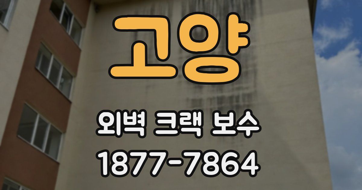 고양 외벽 크랙 보수