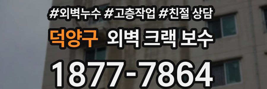 덕양구 외벽 크랙 보수