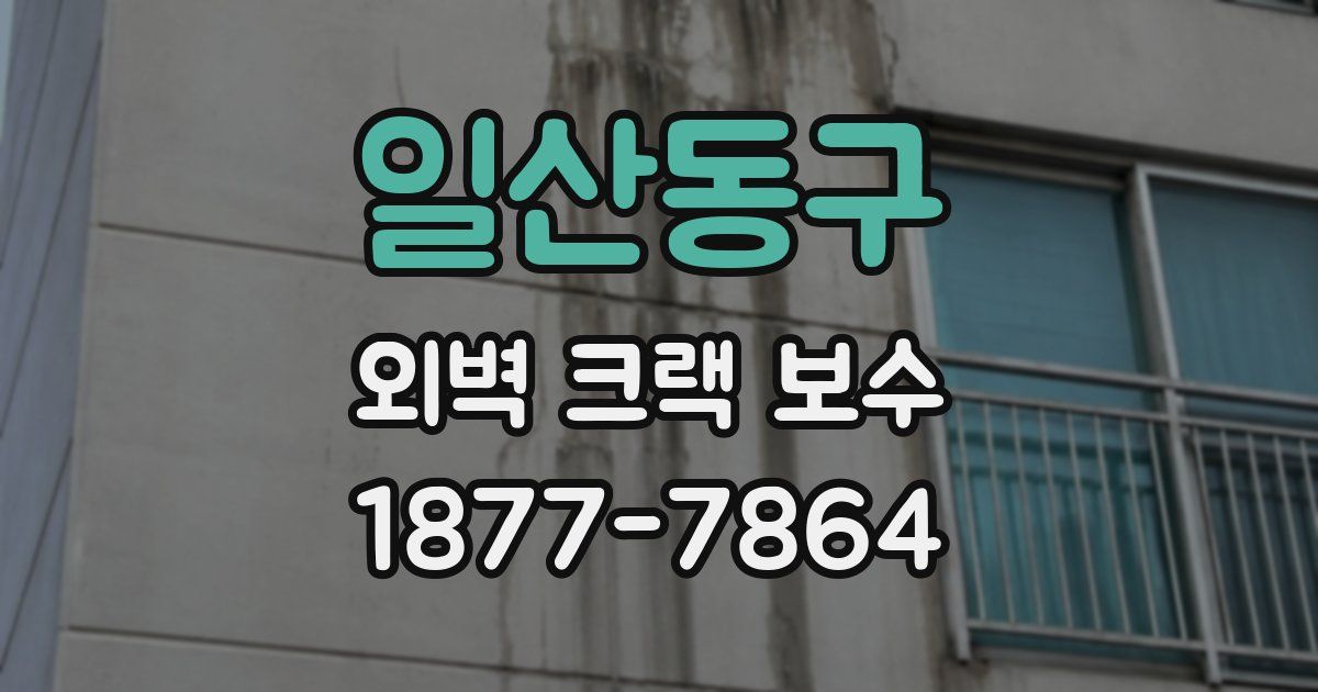 일산동구 외벽 크랙 보수