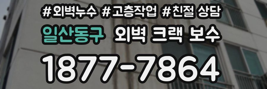 일산동구 외벽 크랙 보수