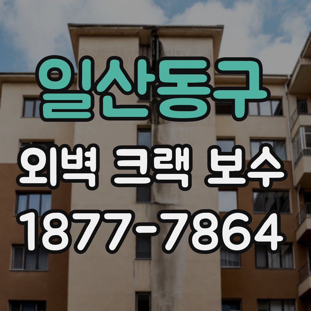 일산동구 외벽 크랙 보수