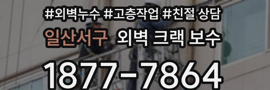 일산서구 외벽 크랙 보수