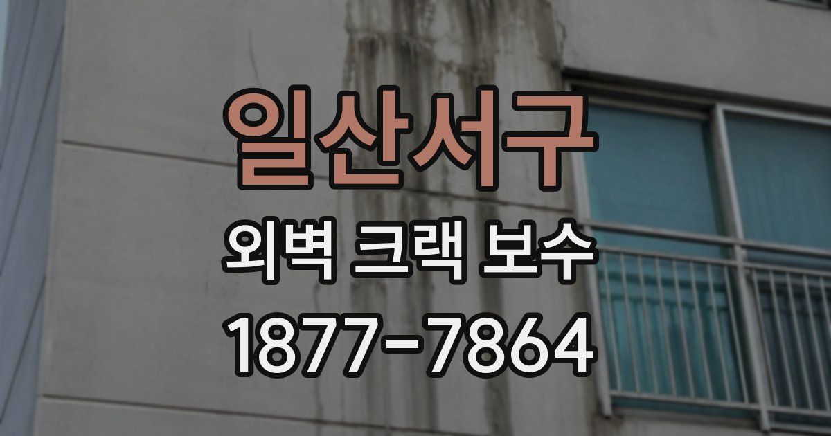 일산서구 외벽 크랙 보수