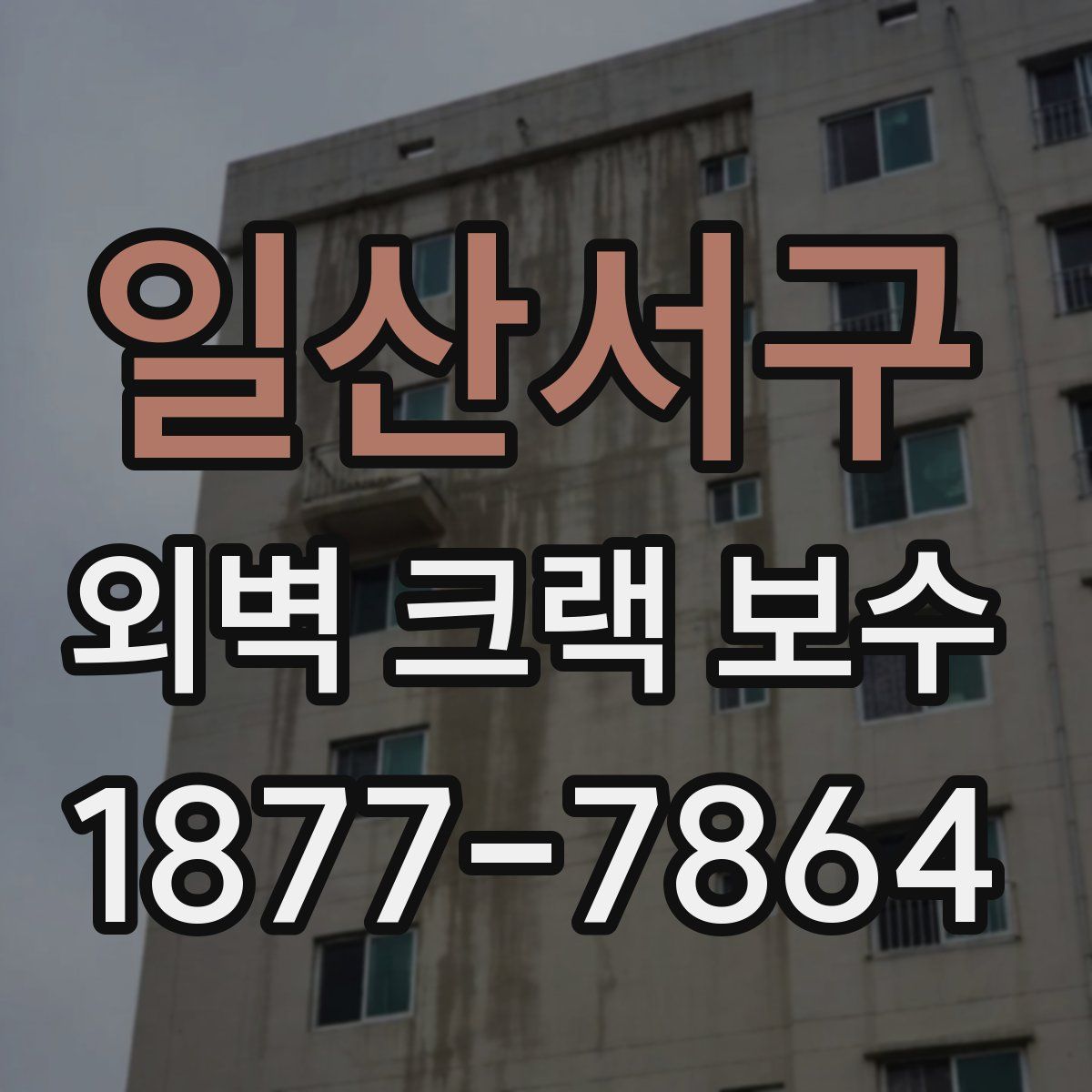 일산서구 외벽 크랙 보수